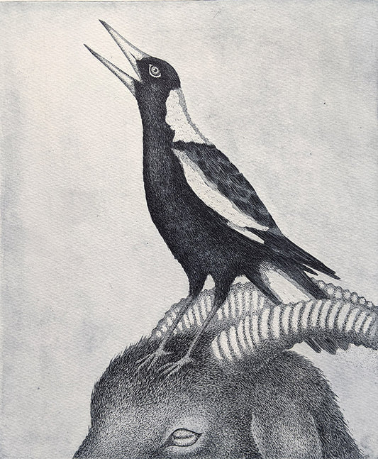 Magpie Calling image 0
