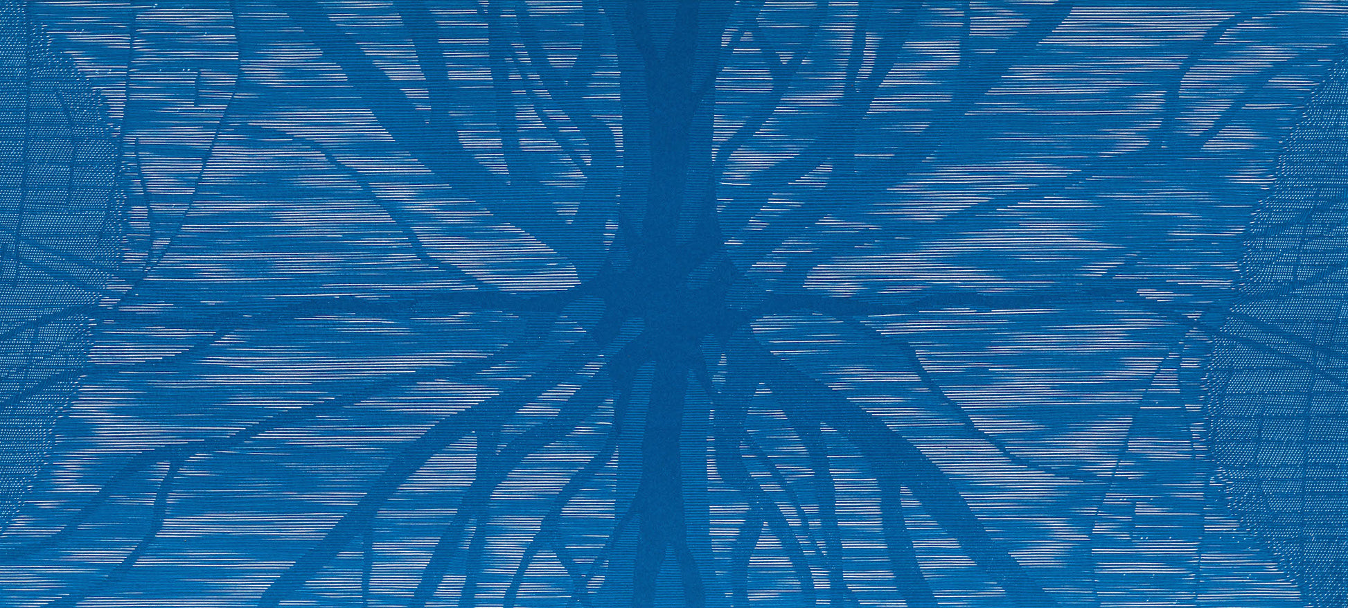 Elizabeth Banfield 'on reflection' image 0
