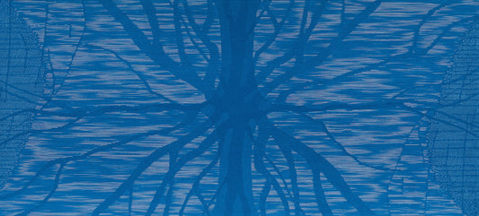 Elizabeth Banfield 'on reflection' image 0