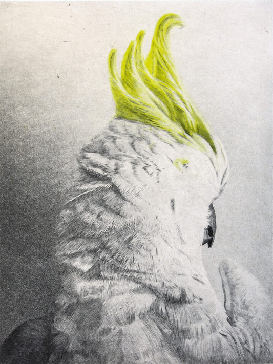 Lana De Jager 'Cockatoo' image 0