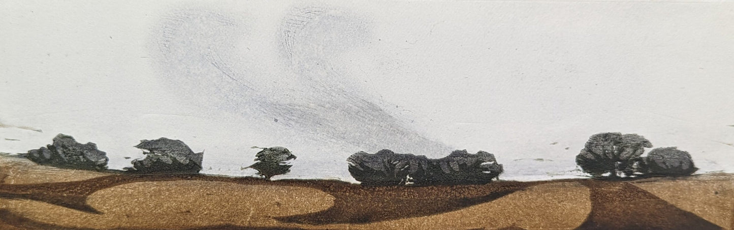 Carolyn Graham 'Brown Earth' image 0