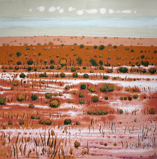Clem Millward 'Salt Pan' image 0
