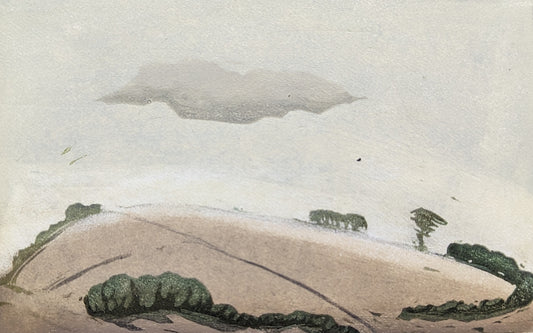Carolyn Graham 'Rain Cloud' image 0