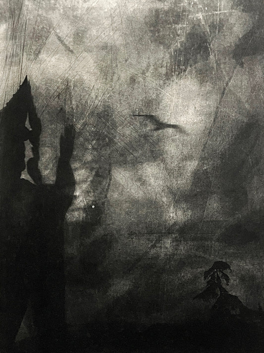 Angela Coombs Matthews 'Mind Sky' image 0