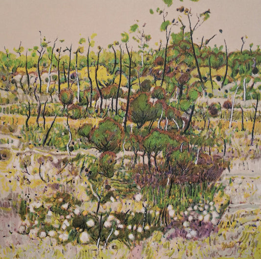 Clem Millward 'Southern Heath' image 0