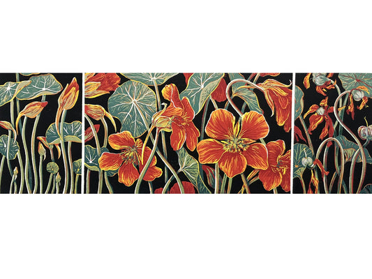 Anna Curtis 'Nasturtiums I'