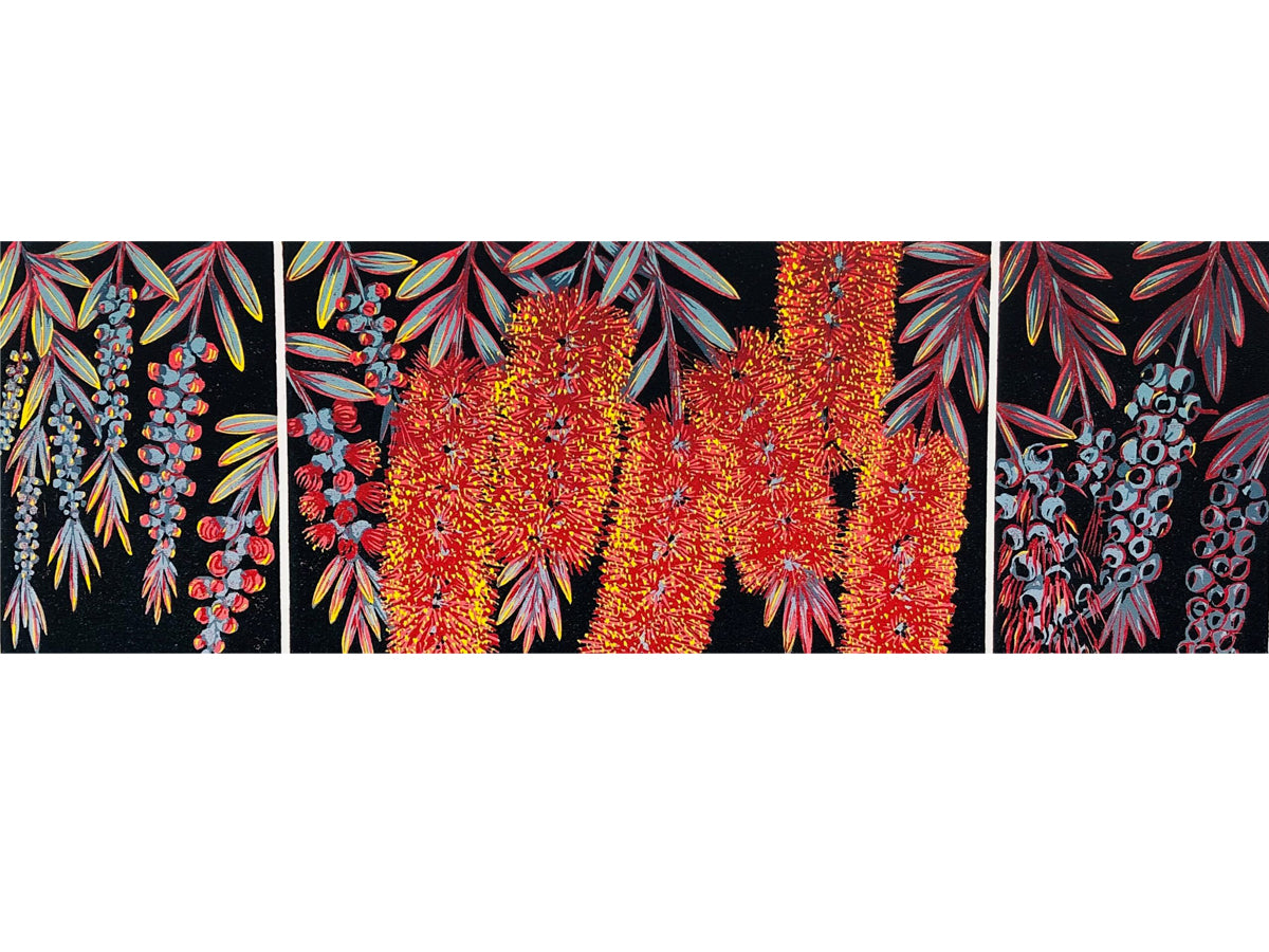 Anna Curtis 'Callistemon III'