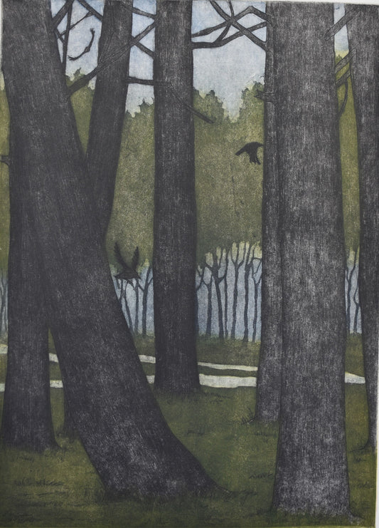 Elizabeth Hickey 'The Company of Trees'