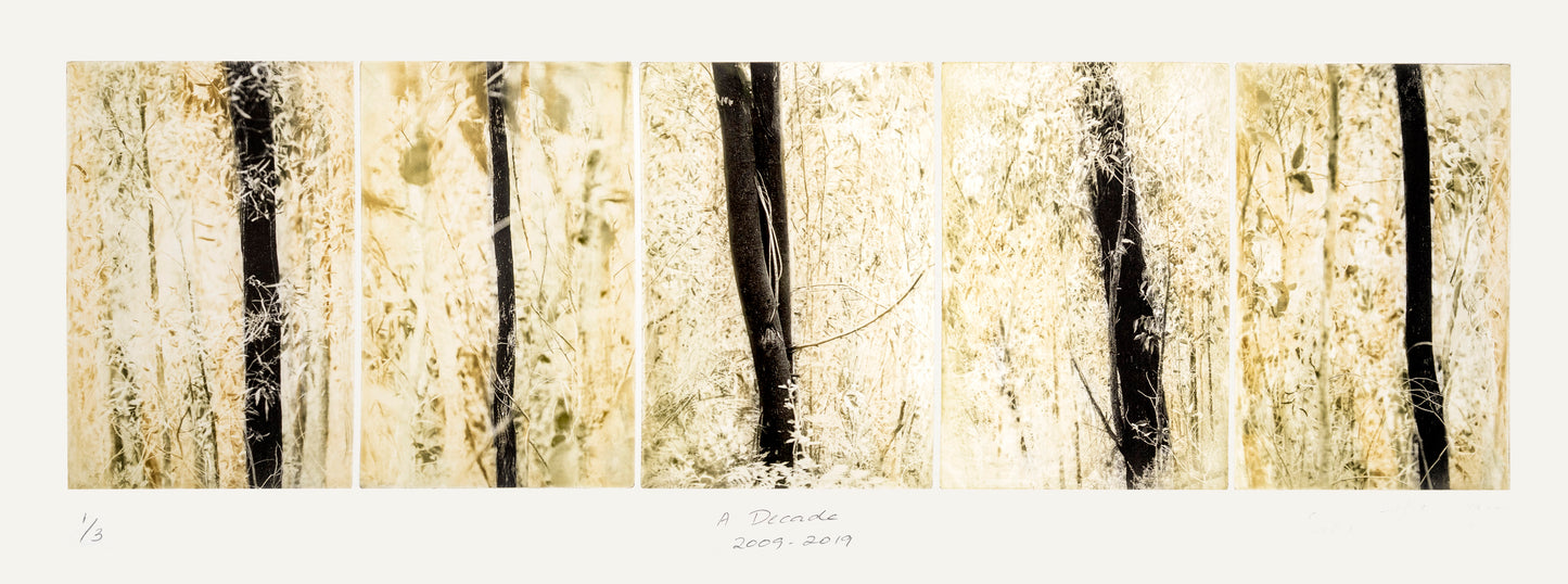 Silvi Glattauer 'A Decade 2009 - 2019'