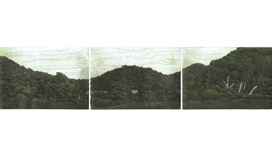 Damon Kowarsky 'Panorama, Koroit'