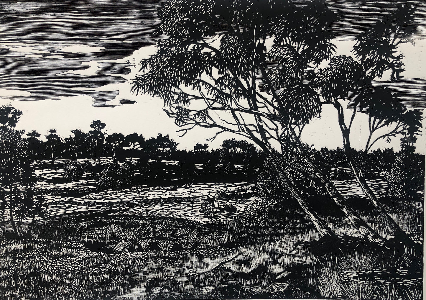 Chris Lawry 'Finke River with wheel chair'