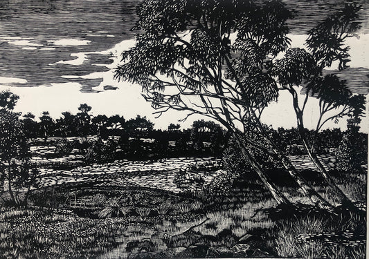 Chris Lawry 'Finke River with wheel chair'