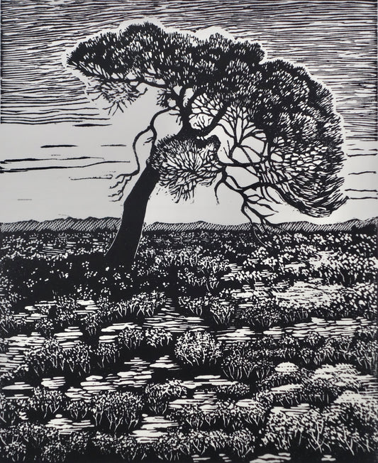 Chris Lawry 'Here starts the Outback'