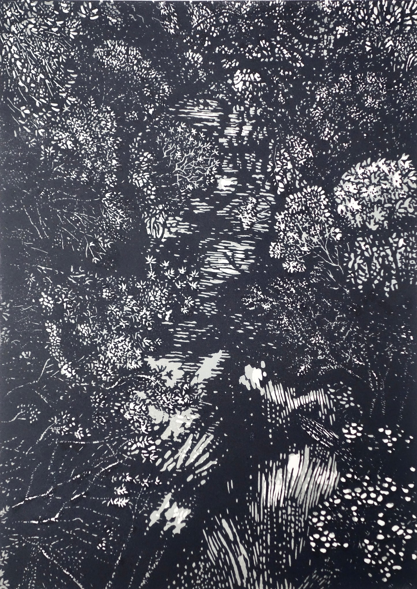 Chris Lawry 'Looking down on the Bemm River'