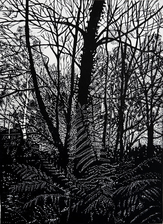 Chris Lawry 'Morning Light'