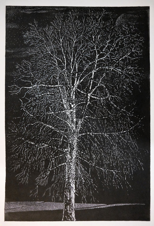 Chris Lawry 'Portrait of a tree in Belgrave'