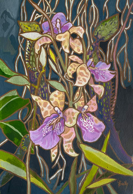 Leanne Booth 'Christchurch Orchids'