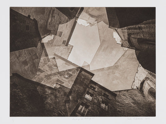 Silvi Glattauer 'Looking up falling in'