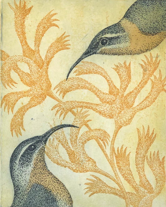 Kati Thamo 'Nectar for two'