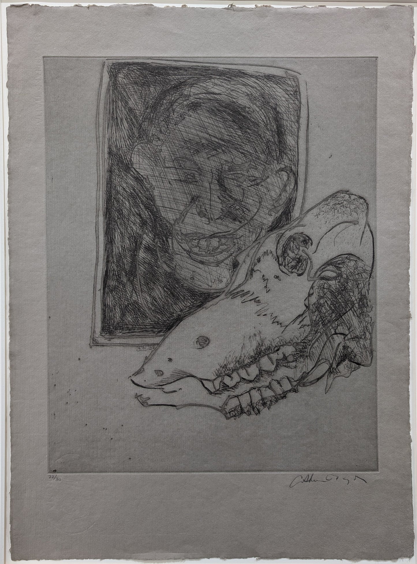 Arthur Boyd 'Untitled Skull'