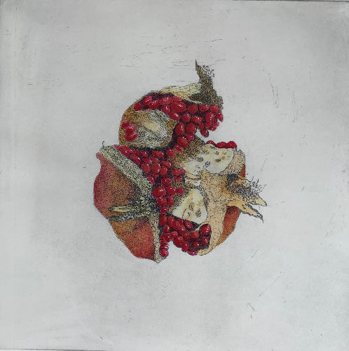 Karen Barnes 'Pomegranate'