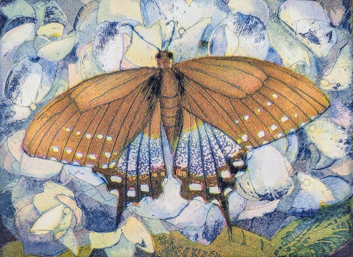 Jutta Votteler 'Schmetterlingsparadies'