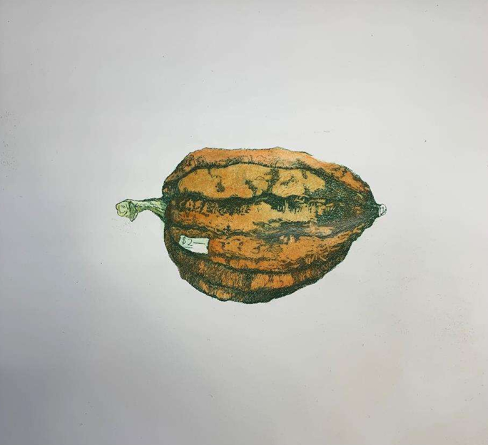 Karen Barnes 'Farmgate Pumkin'