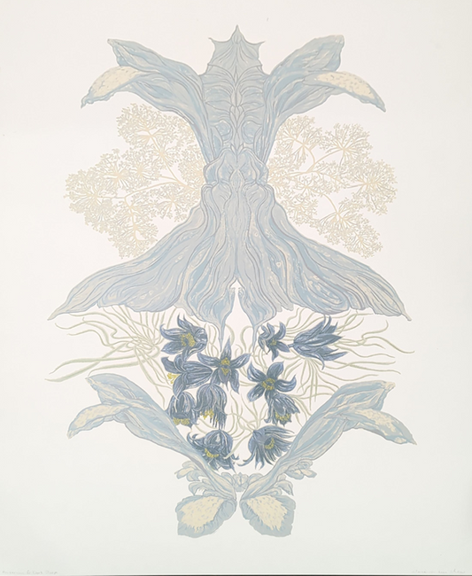Elaine Su-Hui Chew 'Herbarium for Dark Sleep'