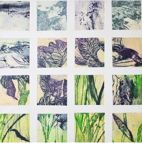 Robyn Rayner 'Garden Composite 1'