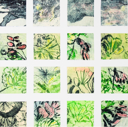 Robyn Rayner 'Garden Composite 2'