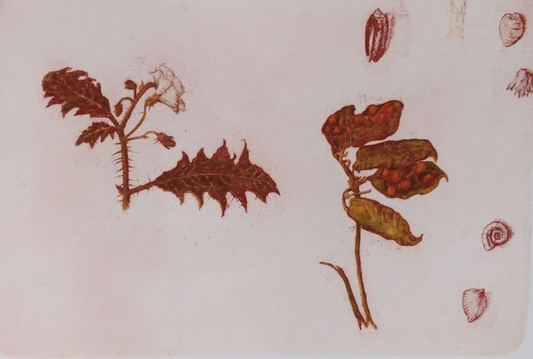 Max Miller 'Studies with Giddle-Giddle Plant'