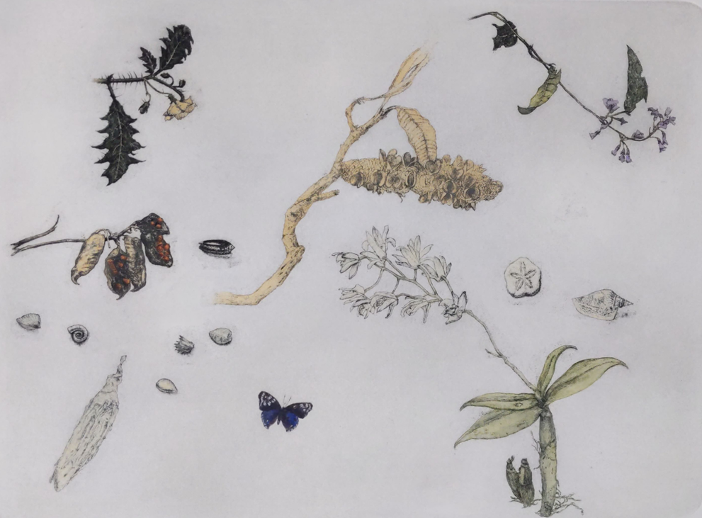 Max Miller 'Cape York & Kangaloon Studies'