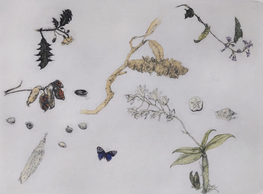 Max Miller 'Cape York & Kangaloon Studies'