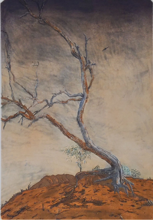 Max Miller 'Coolibah Near Coopers Creek II'