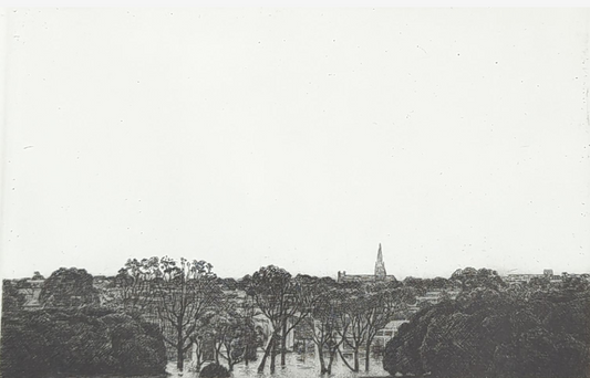 Joel Wolter 'Geelong Skyline'