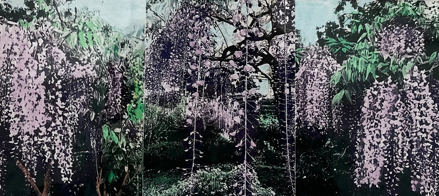 Susan Baran 'Botanic Gardens II'