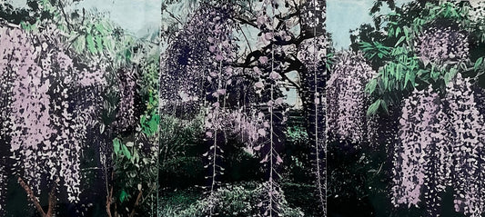 Susan Baran 'Botanic Gardens II'