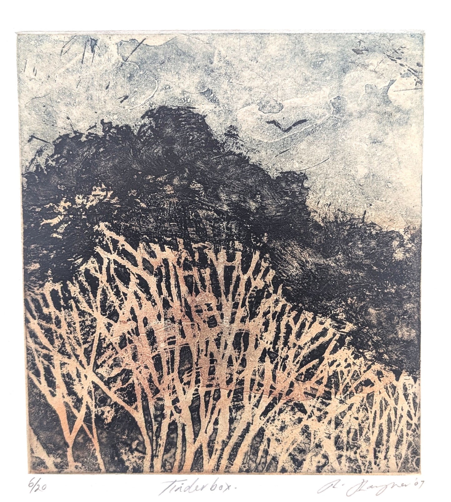 Robyn Rayner 'Tinder Box'