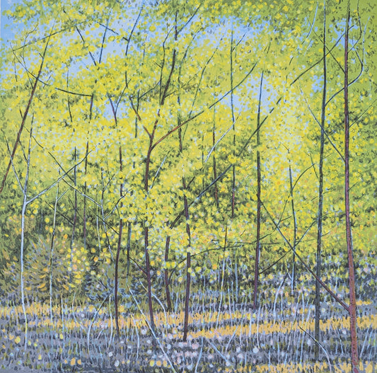 Clem Millward 'Wattle Thicket'