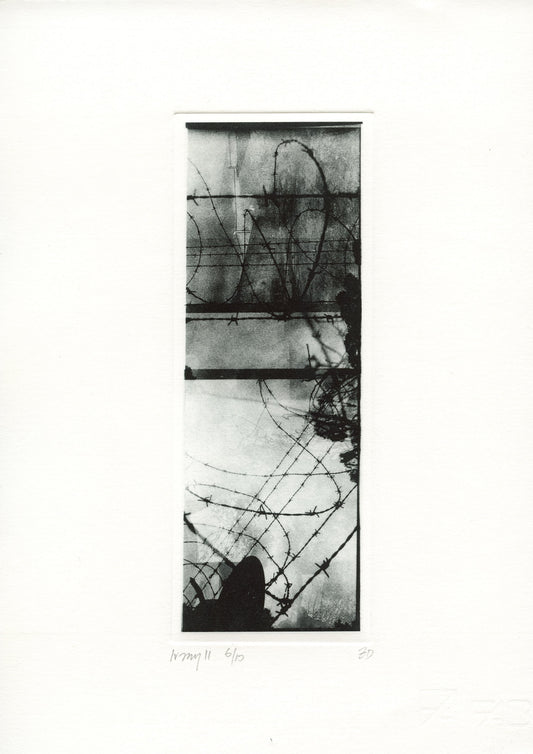 Zo Damage 'Irony II'