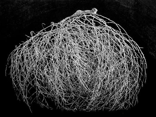 Lana De Jager 'Waiting for Wisdom' image 0