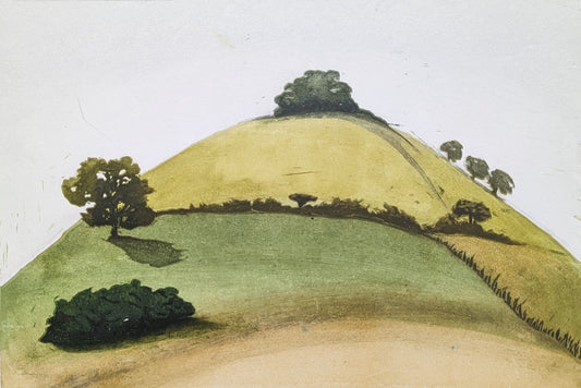 Carolyn Graham 'Green Hill' image 0