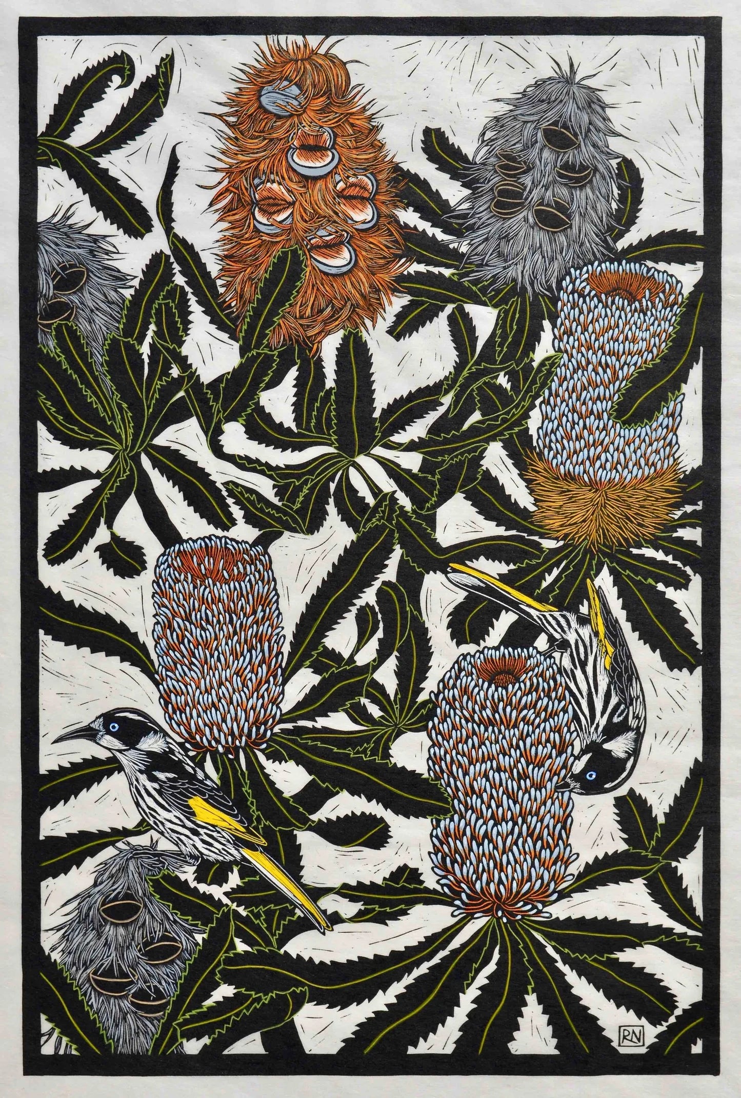 Rachel Newling 'Banksia & Honey Eater'