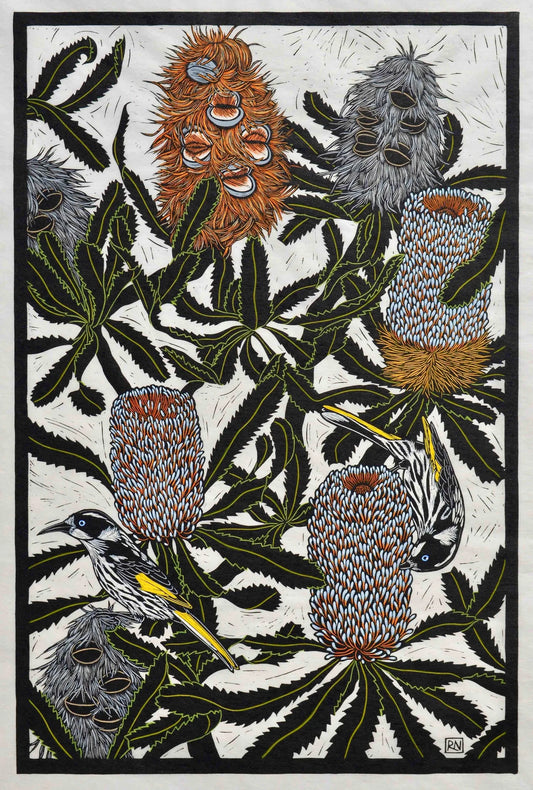 Rachel Newling 'Banksia & Honey Eater'