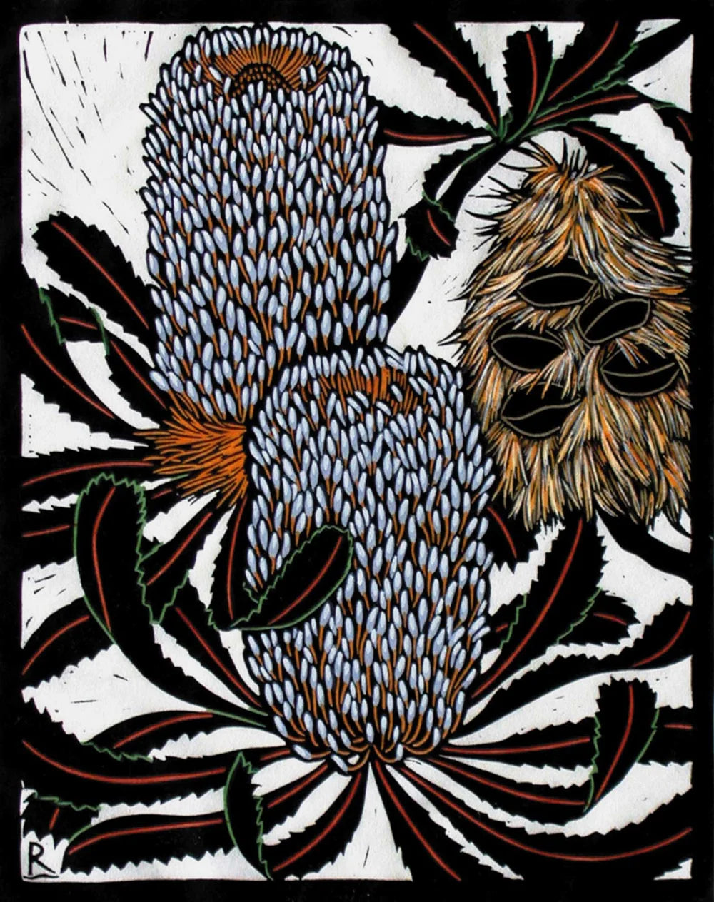 Rachel Newling 'Banksia Serrata'