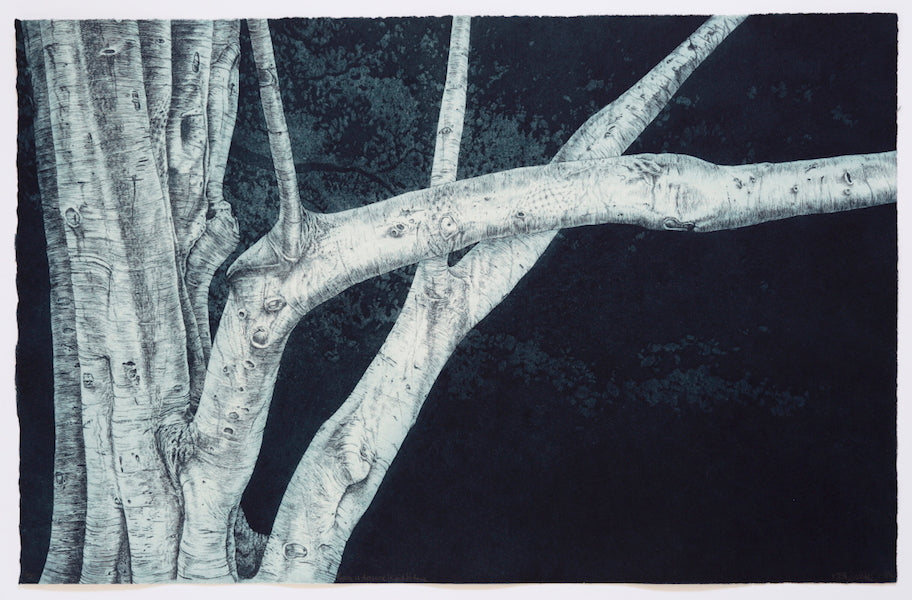 Kasia Fabijanska 'Rycerz w Drzewie' (Knight's Tree) image 0