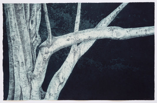 Kasia Fabijanska 'Rycerz w Drzewie' (Knight's Tree) image 0