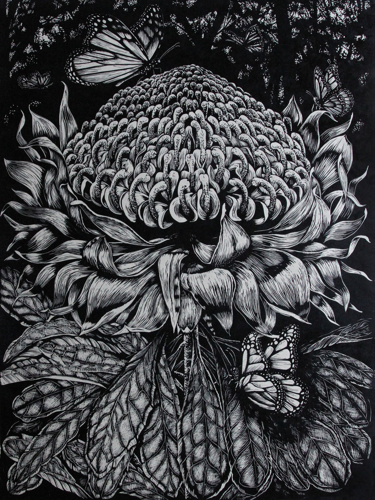 Peta West 'Wild Summer Gone' image 0