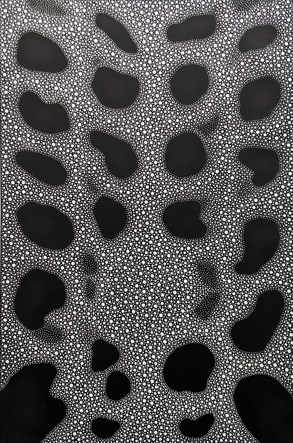 David Nixon 'Illuminations II' image 0