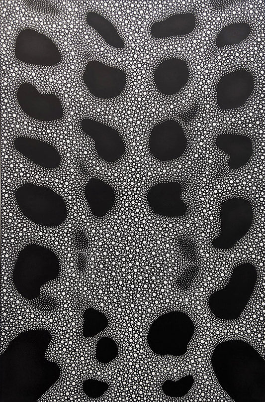 David Nixon 'Illuminations II' image 0